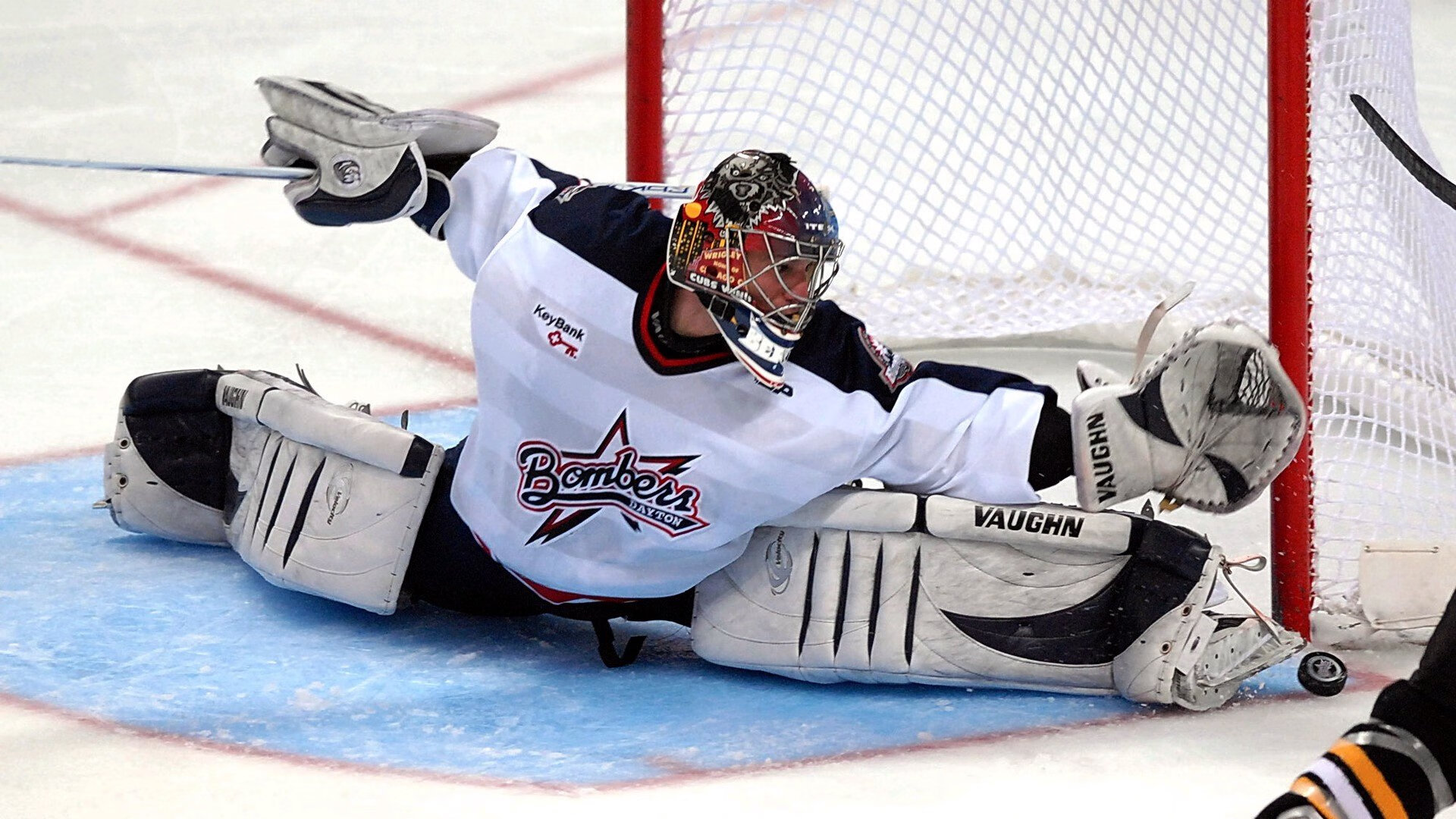 开yun官网-莱德基长距离自由泳无人可敌，莱德基自由泳技术